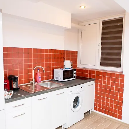 Elisabeta Vila Brašov