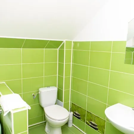 Elisabeta Vila Brašov